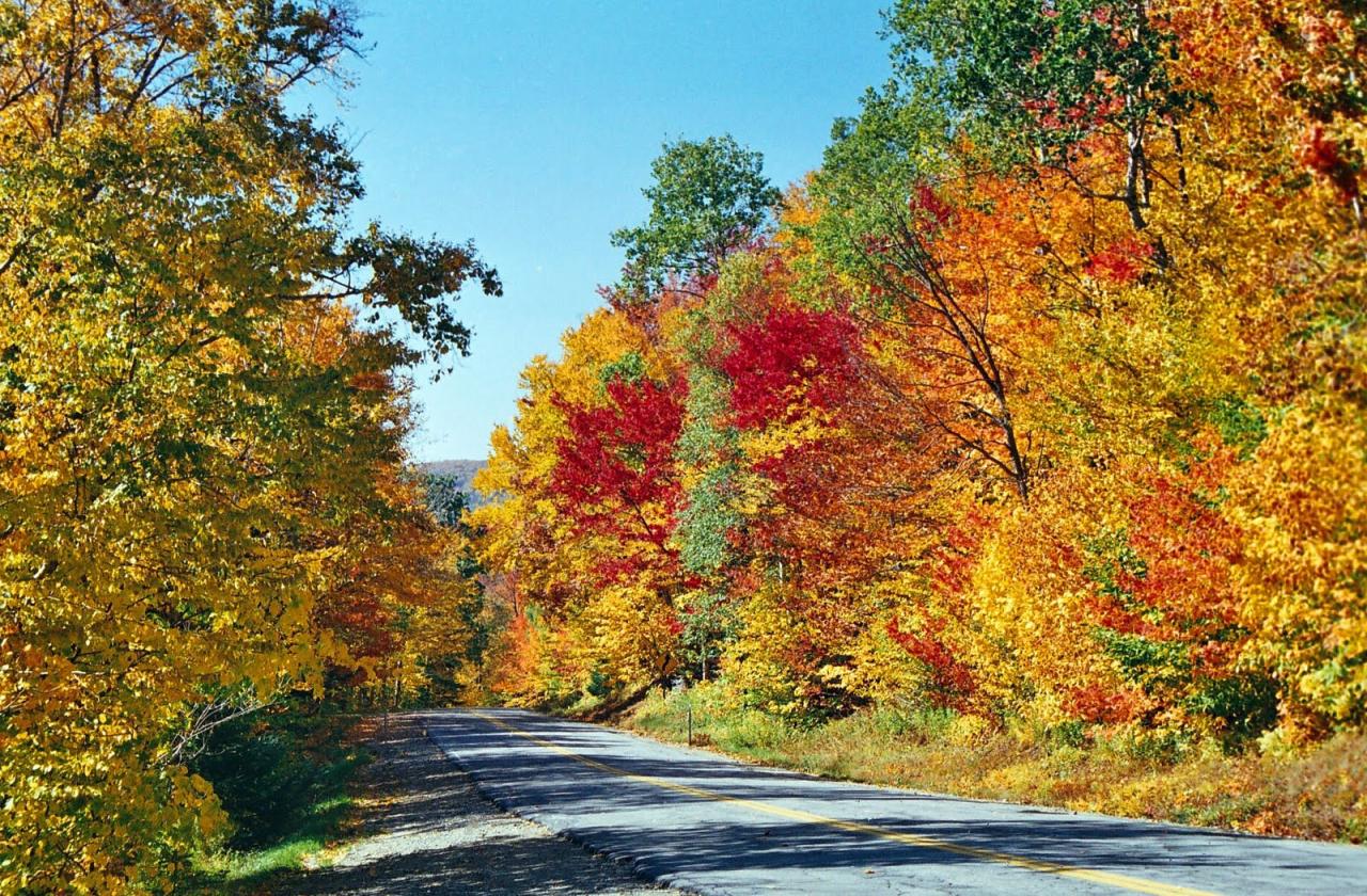 Fall wallpaper for desktop ·① Download free full HD wallpapers for ...