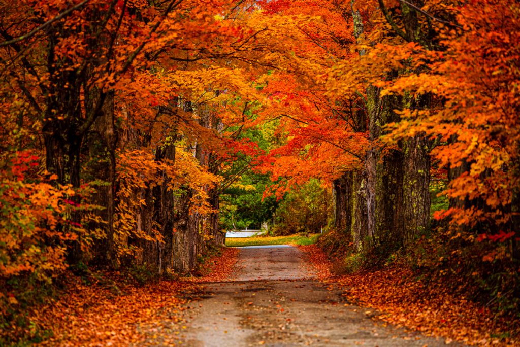 The 10 best places to see Fall foliage in the Northeast – TrailBlazer ...