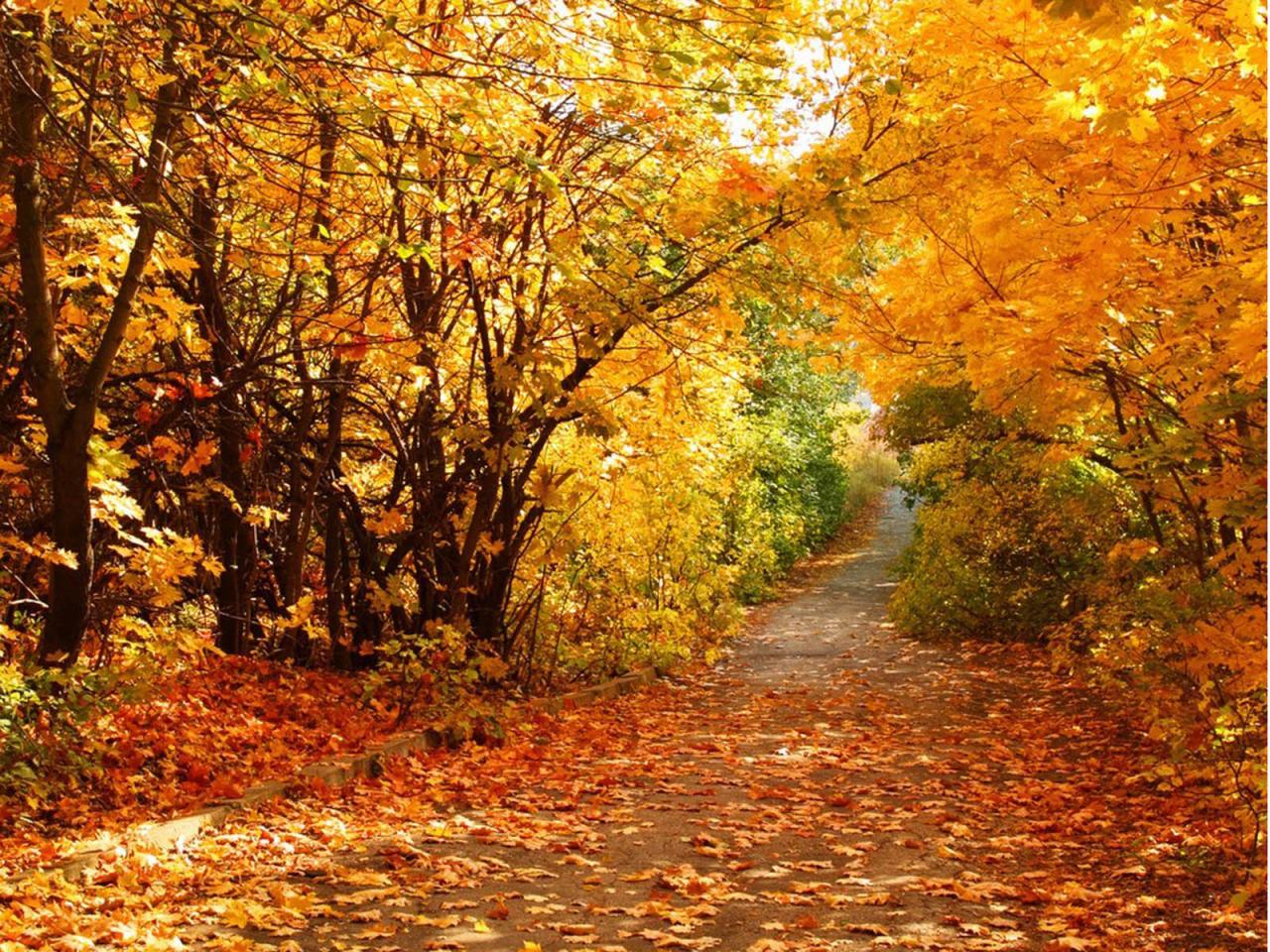 🔥 Free Download Wallpaper Beautiful Autumn Scenery by @chelseadavis ...