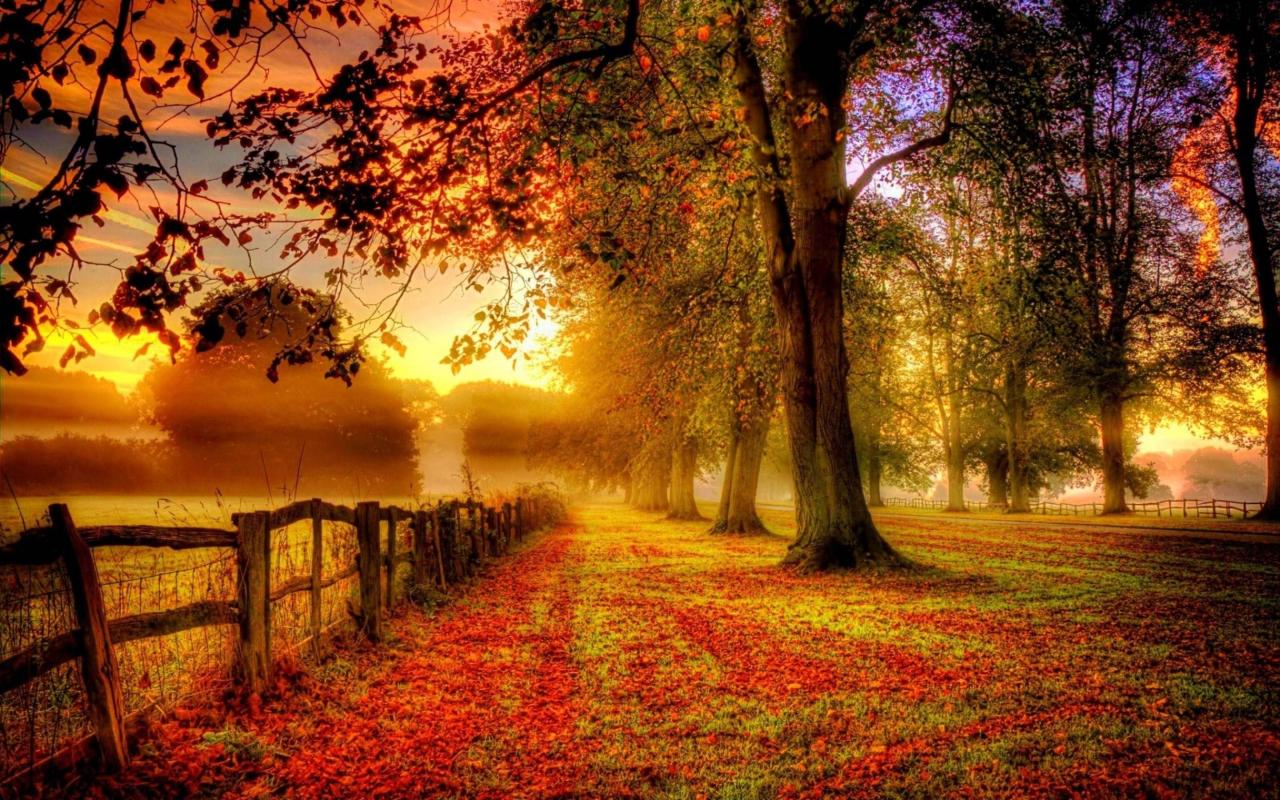 Fall Landscape Wallpapers - Wallpaper Cave